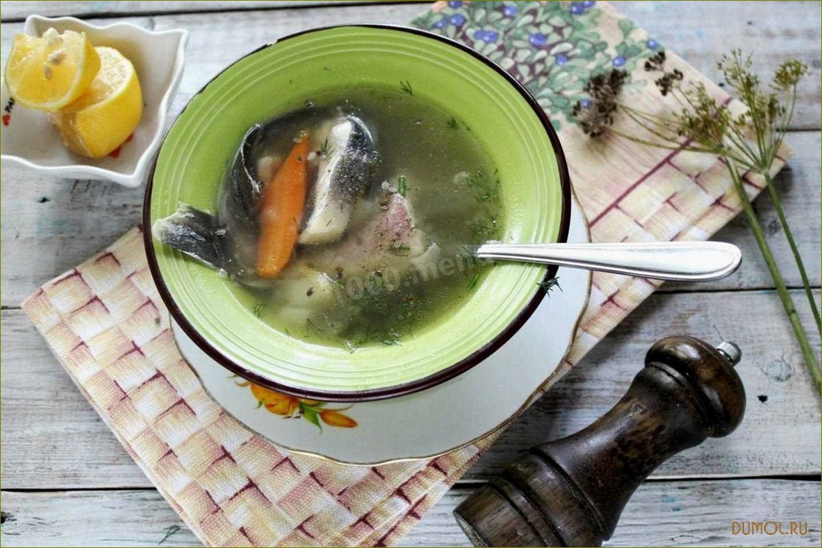 (стерляди) Уха из стерляди