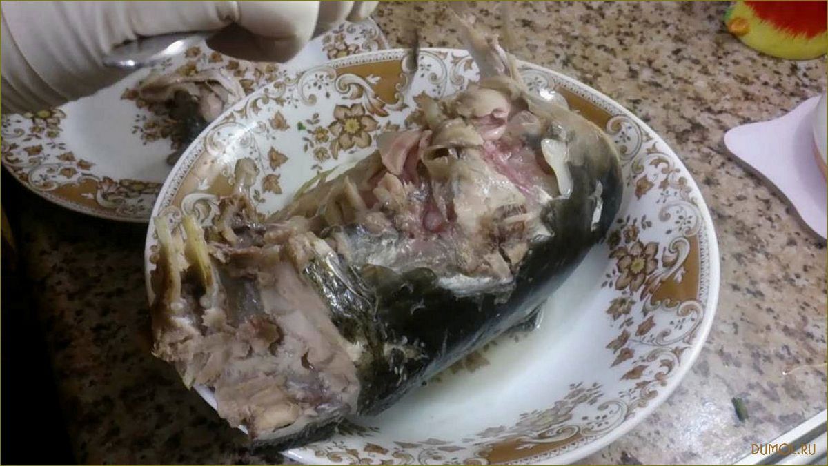 (толстолобика) Уха из толстолобика
