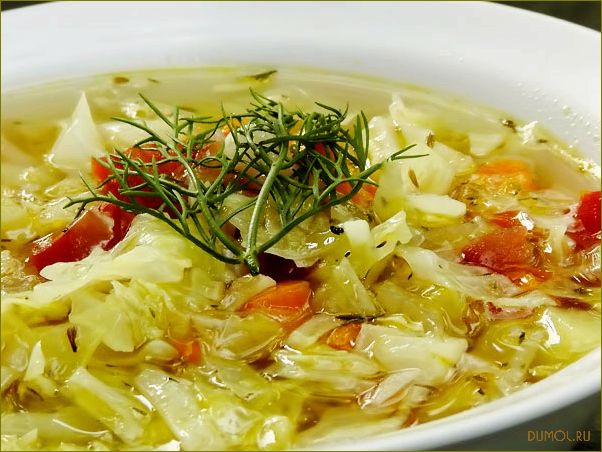 (кислой, капустой, мясом, рецепт, приготовления) Щи с кислой капустой и мясом: рецепт приготовления и секреты вкуса