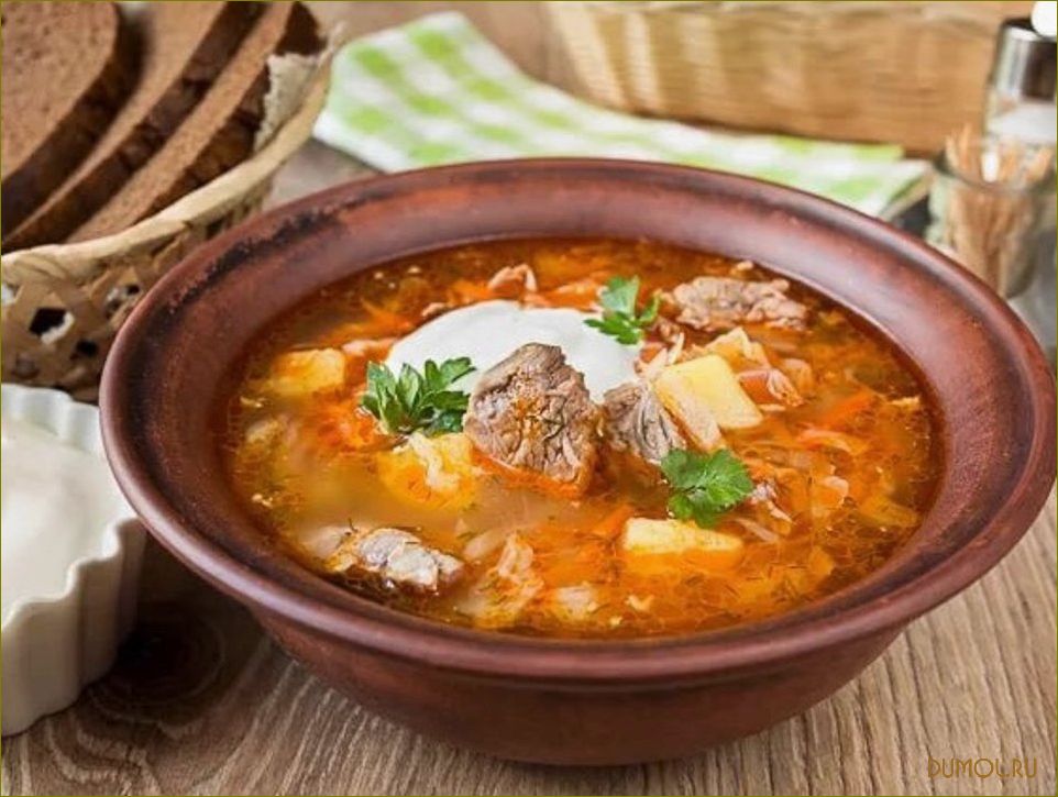 (кислой, капустой, мясом, рецепт, приготовления) Щи с кислой капустой и мясом: рецепт приготовления и секреты вкуса