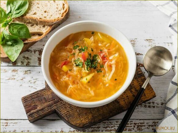 (кислой, капустой, мясом, рецепт, приготовления) Щи с кислой капустой и мясом: рецепт приготовления и секреты вкуса