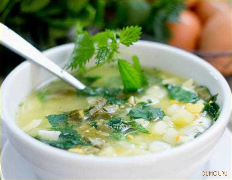 (рецепт, щавеля, крапивы, наслаждайтесь, вкусом) Рецепт щей из щавеля и крапивы: наслаждайтесь вкусом и полезными свойствами