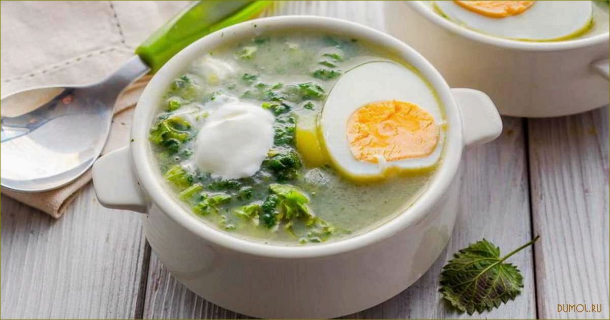 (рецепт, щавеля, крапивы, наслаждайтесь, вкусом) Рецепт щей из щавеля и крапивы: наслаждайтесь вкусом и полезными свойствами
