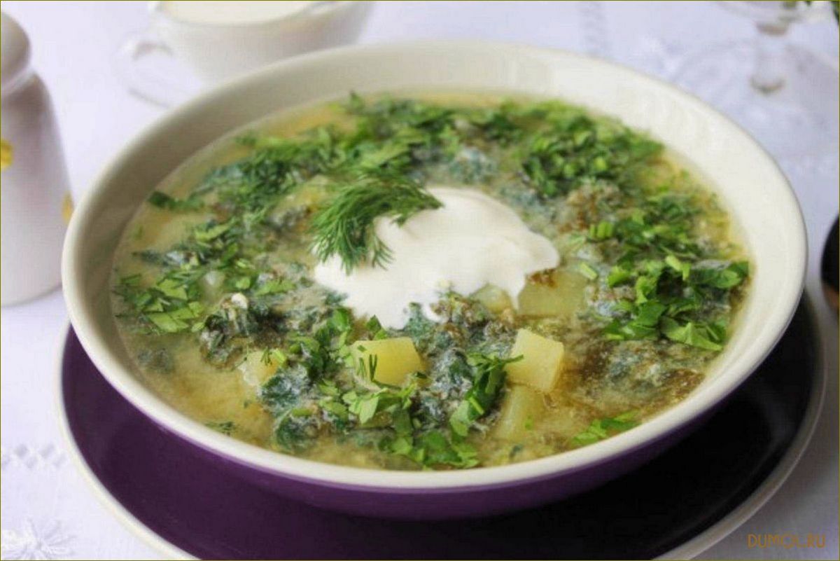 (рецепт, щавеля, крапивы, наслаждайтесь, вкусом) Рецепт щей из щавеля и крапивы: наслаждайтесь вкусом и полезными свойствами
