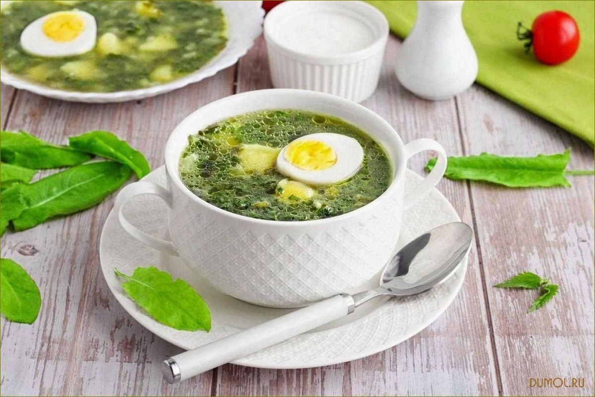 (рецепт, щавеля, крапивы, наслаждайтесь, вкусом) Рецепт щей из щавеля и крапивы: наслаждайтесь вкусом и полезными свойствами