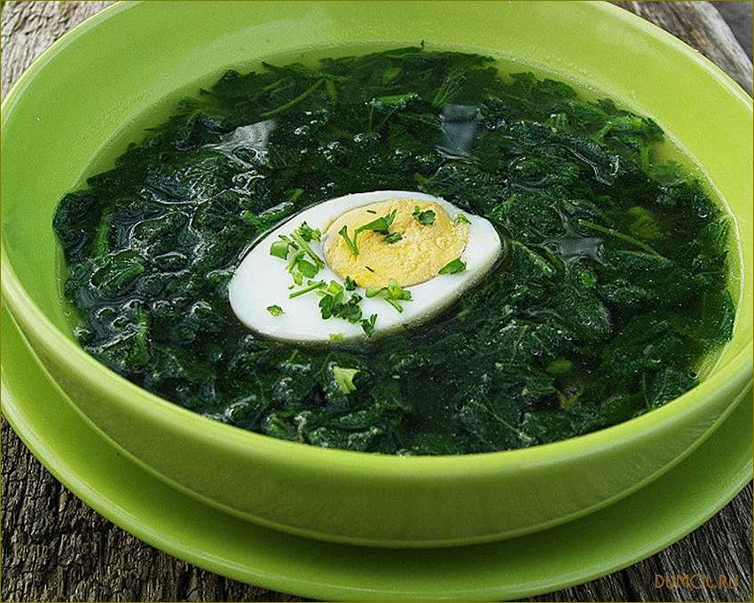 (рецепт, щавеля, крапивы, наслаждайтесь, вкусом) Рецепт щей из щавеля и крапивы: наслаждайтесь вкусом и полезными свойствами