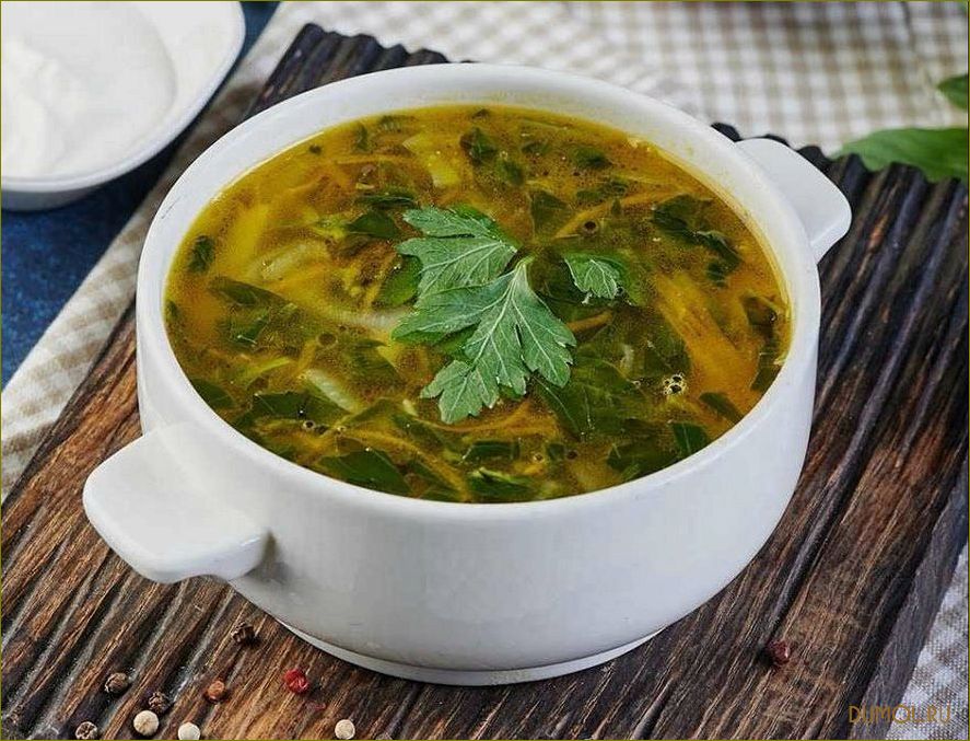 (рецепт, щавеля, крапивы, наслаждайтесь, вкусом) Рецепт щей из щавеля и крапивы: наслаждайтесь вкусом и полезными свойствами