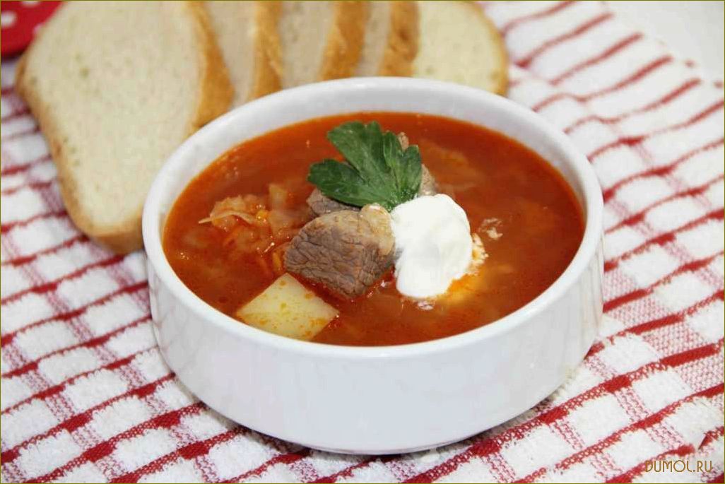 (рецепт, говядиной, вкусное, сытное, блюдо) Рецепт щей с говядиной: вкусное и сытное блюдо