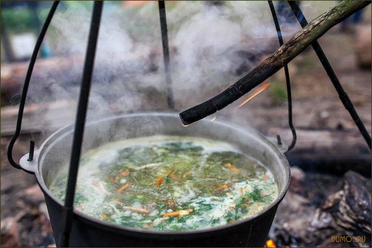 (природе, вкусные, рецепты, секреты, приготовления) Уха на природе: вкусные рецепты и секреты приготовления