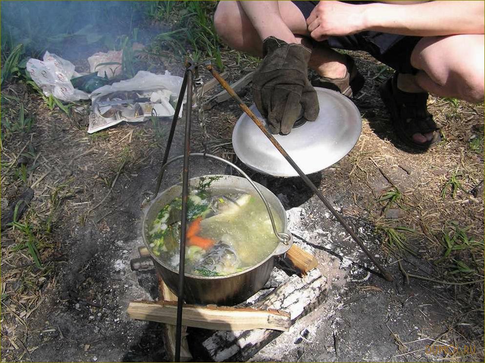 (природе, вкусные, рецепты, секреты, приготовления) Уха на природе: вкусные рецепты и секреты приготовления