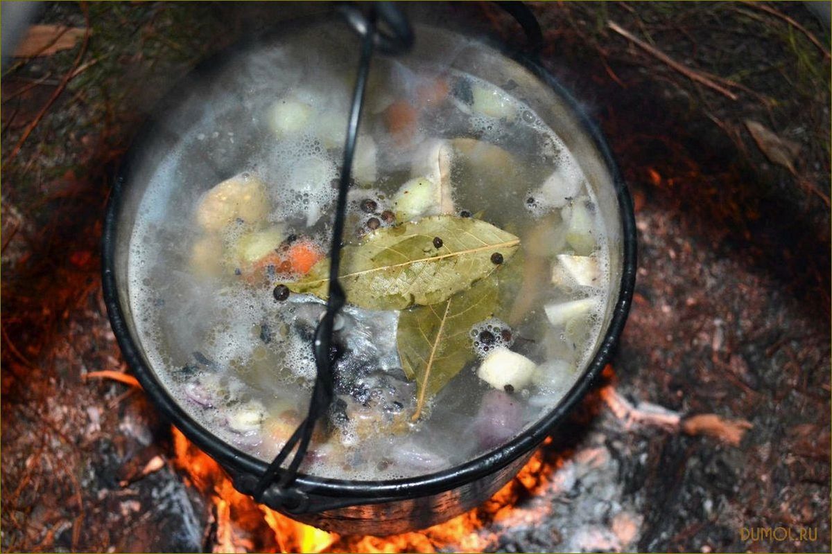 (природе, вкусные, рецепты, секреты, приготовления) Уха на природе: вкусные рецепты и секреты приготовления