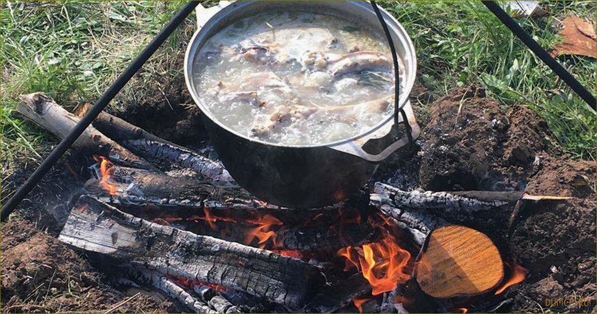 (природе, вкусные, рецепты, секреты, приготовления) Уха на природе: вкусные рецепты и секреты приготовления