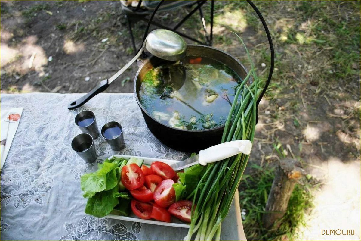 (природе, вкусные, рецепты, секреты, приготовления) Уха на природе: вкусные рецепты и секреты приготовления