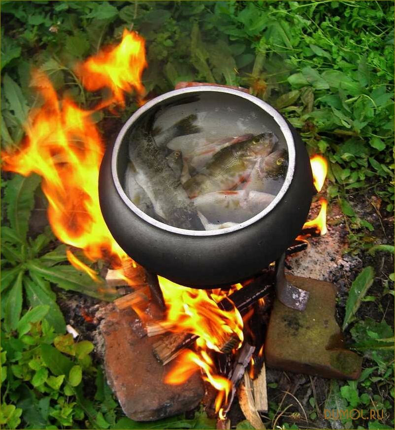 (природе, вкусные, рецепты, секреты, приготовления) Уха на природе: вкусные рецепты и секреты приготовления