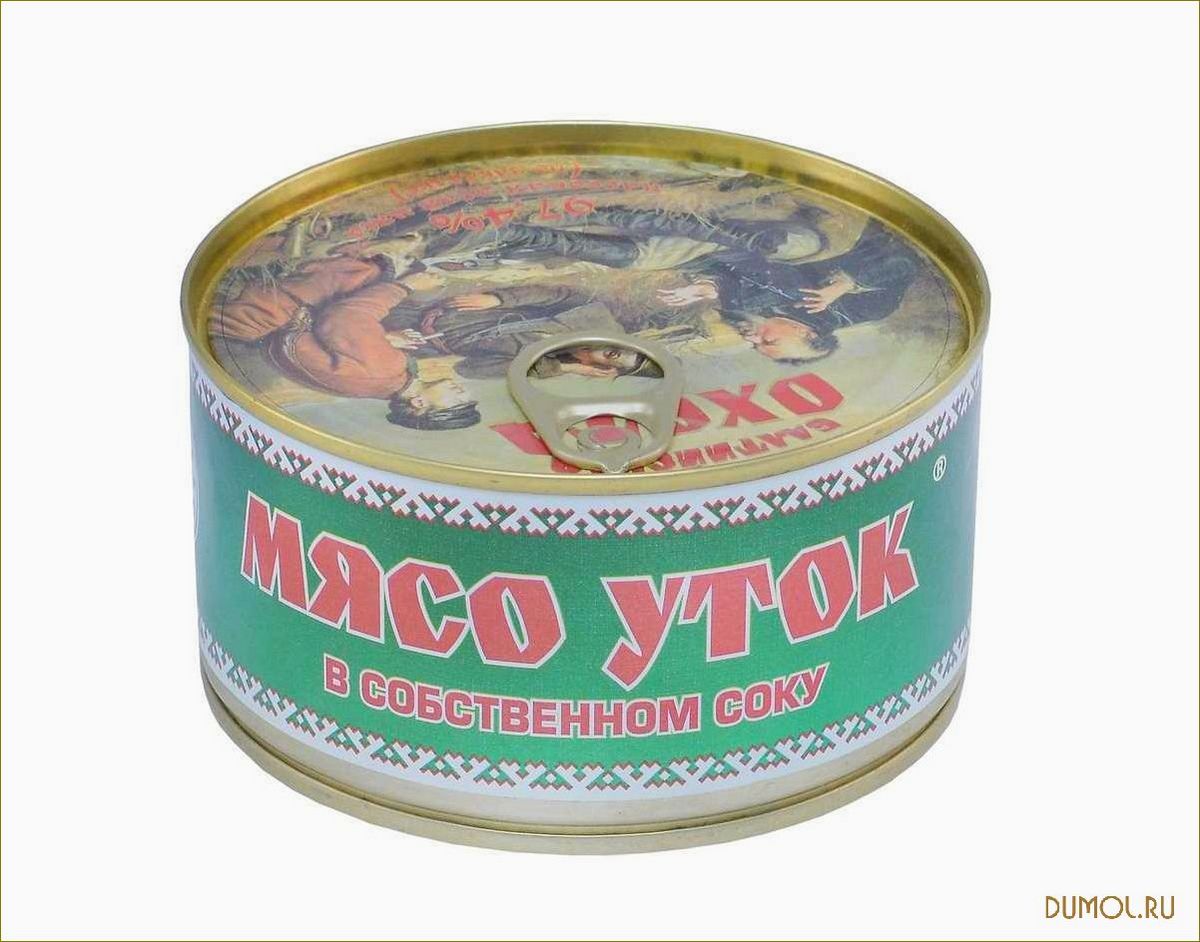 (тушенка, утки, рецепты, приготовления, секреты) Тушенка из утки: рецепты приготовления и секреты