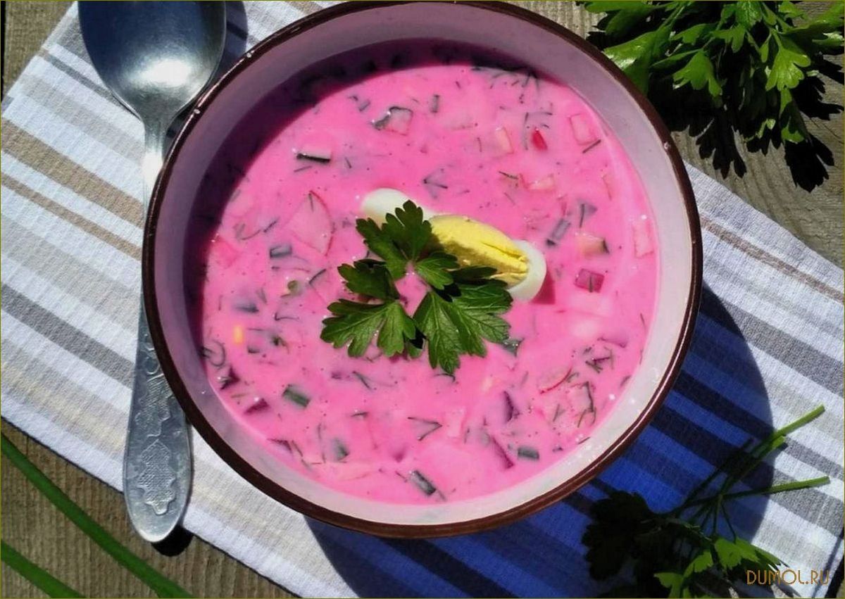 (холодник, рецепты, приготовления, полезные, советы) Холодник: рецепты приготовления и полезные советы