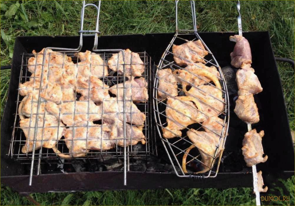 (шашлык, свинины, решетке) Шашлык из свинины на решетке