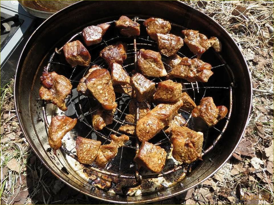 (шашлык, свинины, решетке) Шашлык из свинины на решетке