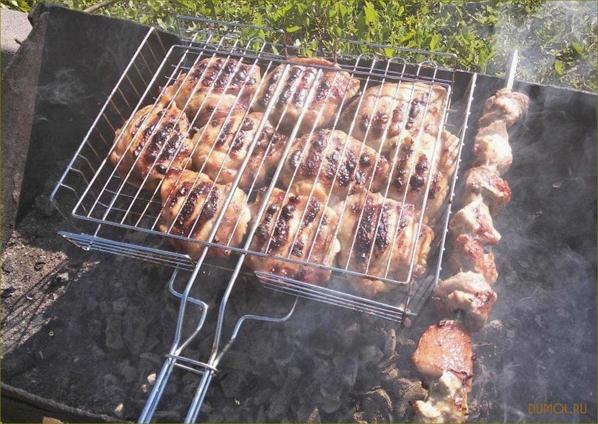 (шашлык, свинины, решетке) Шашлык из свинины на решетке