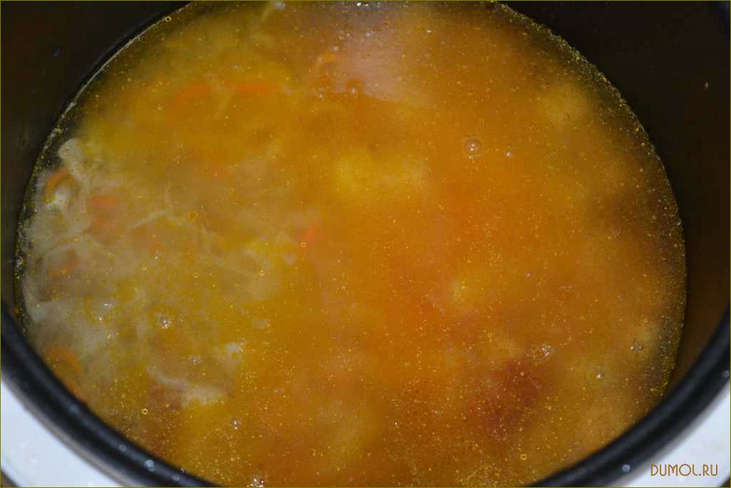 Рецепт приготовления щей из кислой капусты в мультиварке