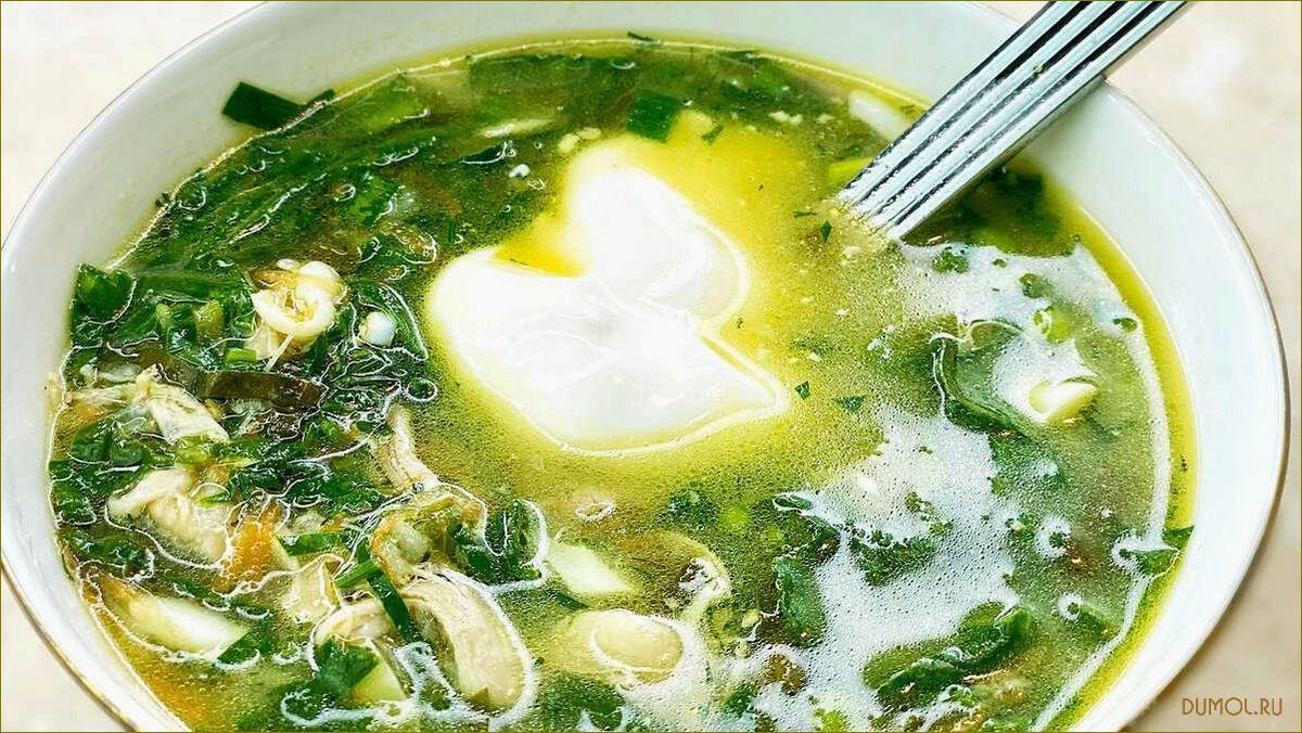 Рецепт щей из щавеля с курицей