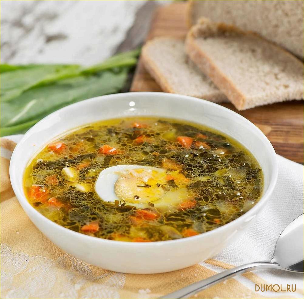 Рецепт щей из щавеля с курицей