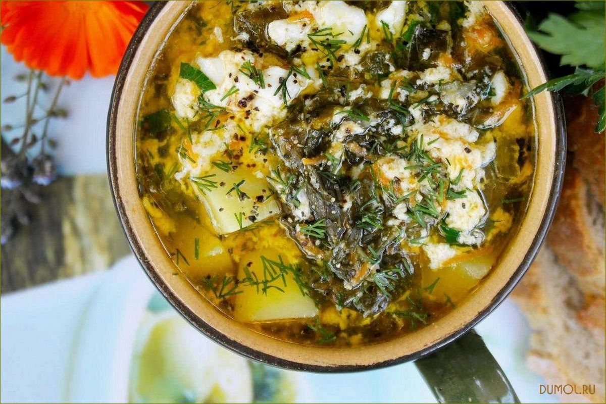 Рецепт щей из щавеля с курицей