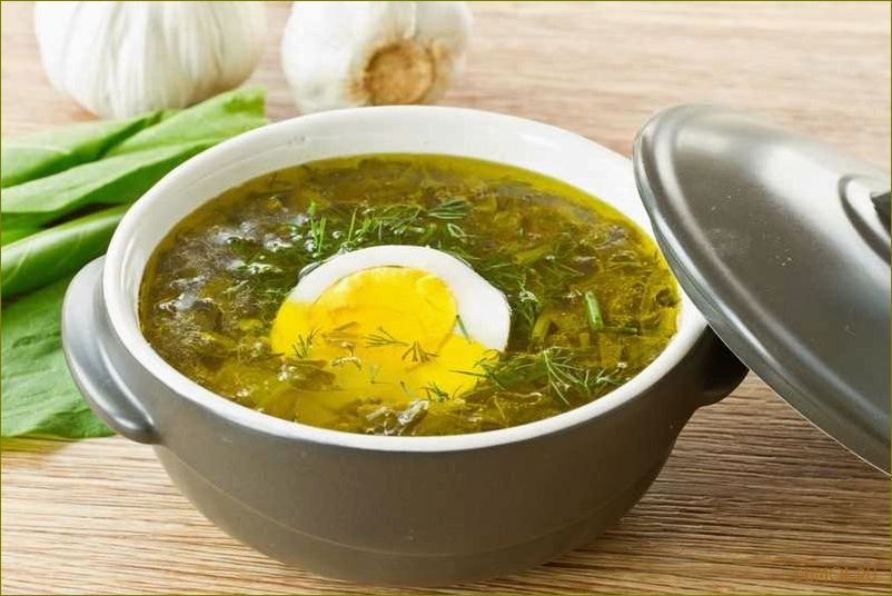 Рецепт щей из щавеля с курицей