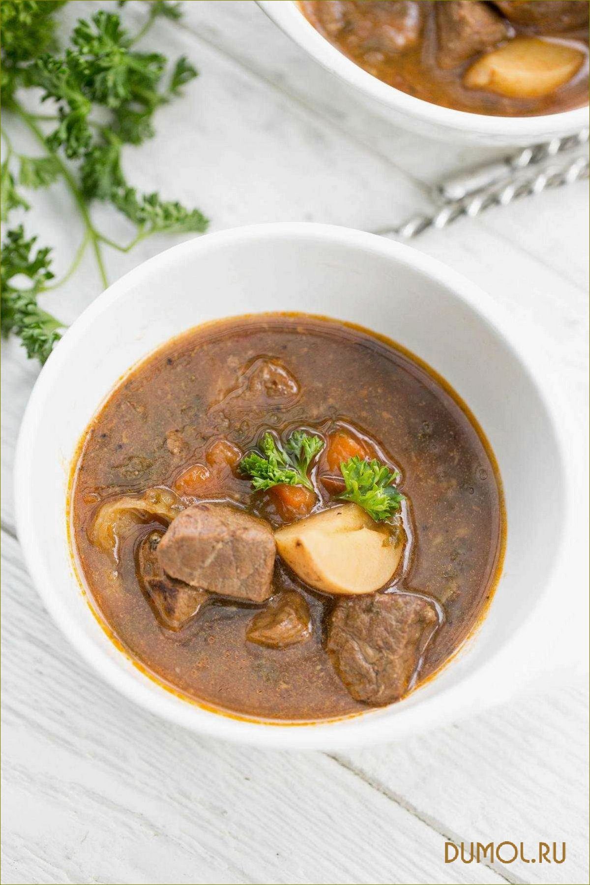 (шурпа, мультиварке, говядины) Шурпа в мультиварке из говядины