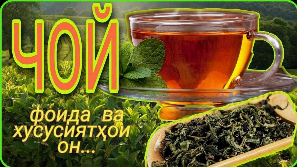 (кабуд, история, виды, приготовление) Чои кабуд: история, виды и приготовление