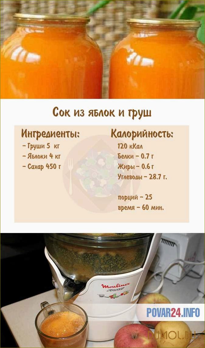 Яблочный сок на зиму через соковыжималку