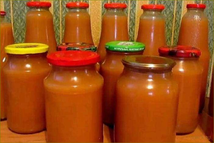Яблочный сок на зиму через соковыжималку