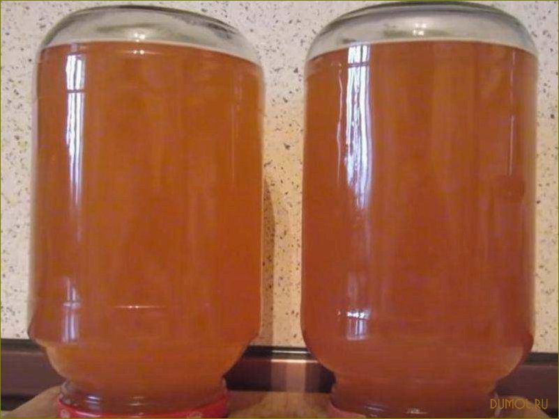 Яблочный сок на зиму через соковыжималку