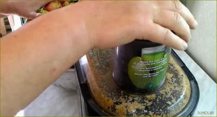 Яблочный сок на зиму через соковыжималку