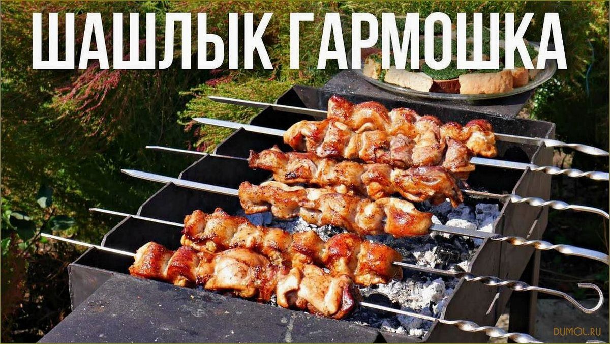 Шашлык гармошкой