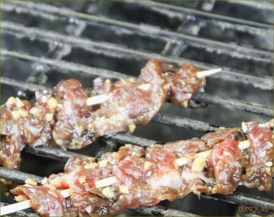 Шашлык гармошкой