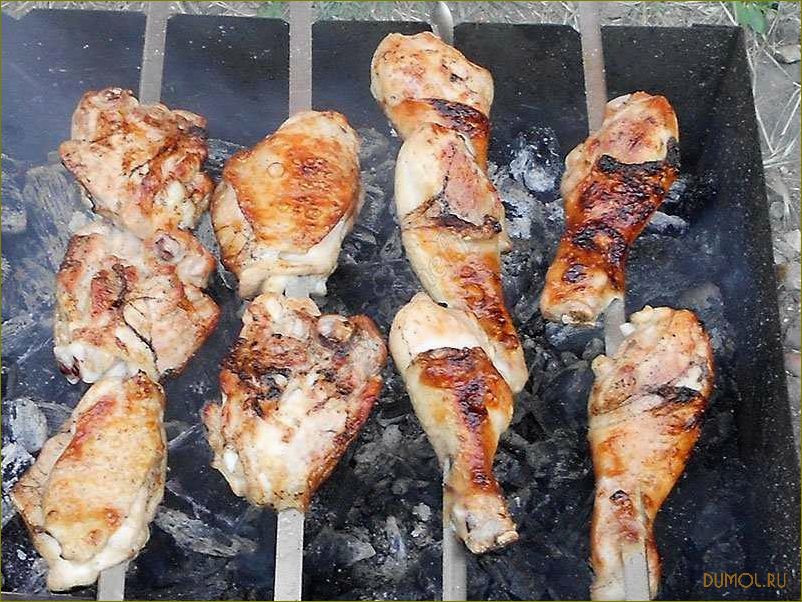 (рецепт, шашлыка, голени, курицы) Рецепт шашлыка из голени курицы