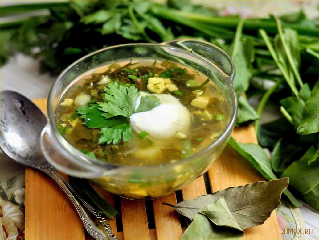 (щавелевый, мясном, бульоне) Щавелевый суп на мясном бульоне
