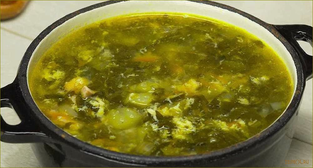 (щавелевый, мясном, бульоне) Щавелевый суп на мясном бульоне