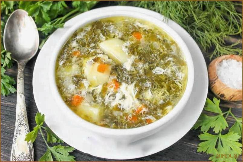 (щавелевый, мясном, бульоне) Щавелевый суп на мясном бульоне