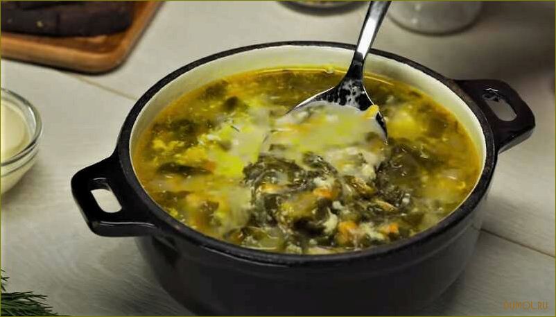 Щавелевый суп с мясом и яйцом