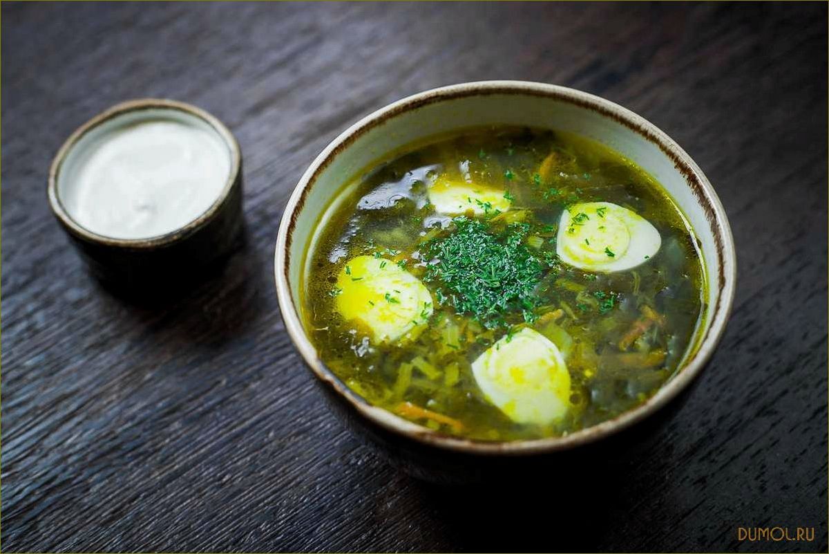 Щавелевый суп с мясом и яйцом
