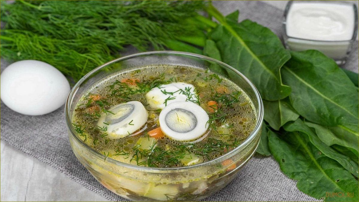 Щавелевый суп с мясом и яйцом