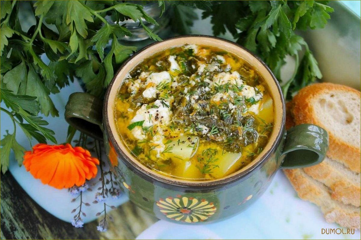 Щавелевый суп с мясом и яйцом