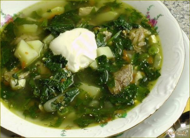 (щавеля, мясом) Щи из щавеля с мясом