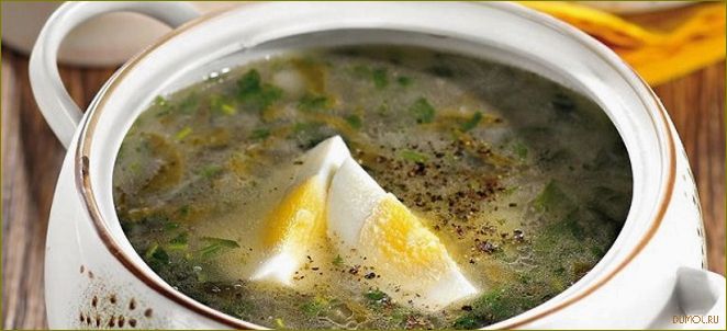 (щавеля, мясом) Щи из щавеля с мясом