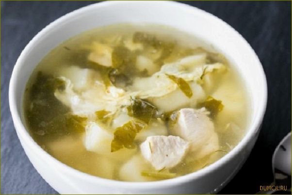 (щавеля, мясом) Щи из щавеля с мясом