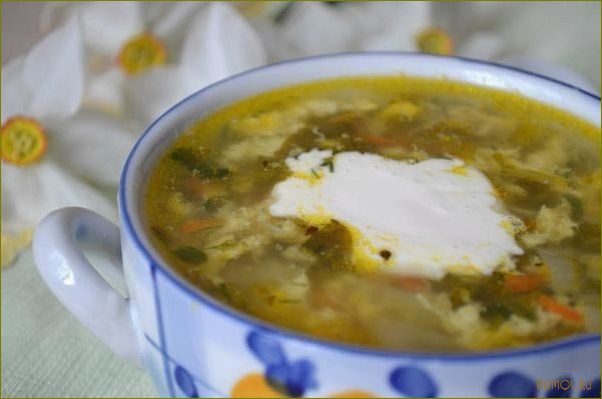 (щавеля, мясом) Щи из щавеля с мясом