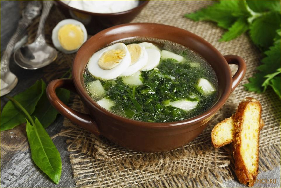 (щавеля, мясом) Щи из щавеля с мясом