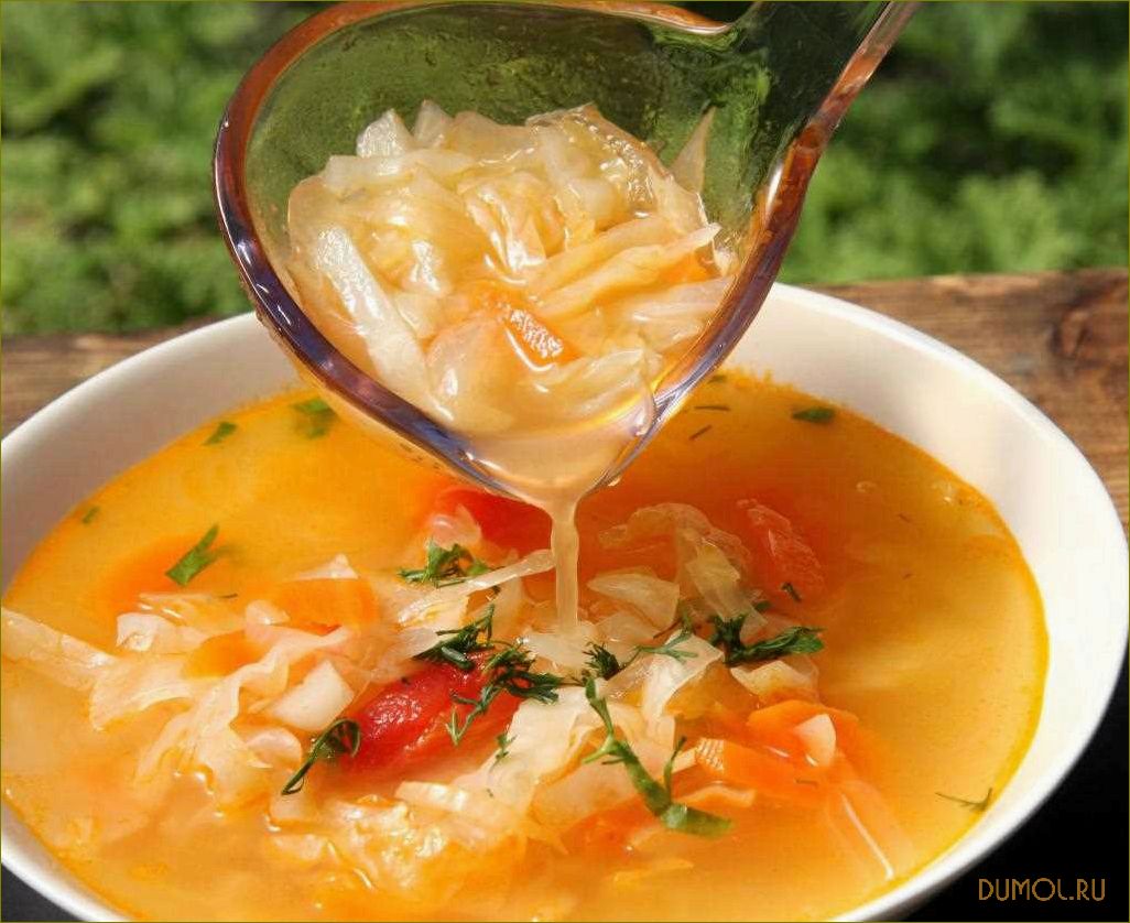 (квашеной, капусты, рецепт, приготовления, полезные) Щи из квашеной капусты: рецепт приготовления и полезные свойства